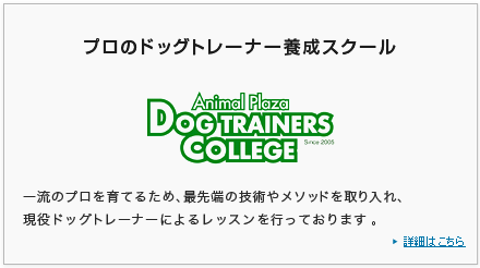 日本初 プロのドッグトレーナー養成スクール　アニマルプラザドッグトレーナーズカレッジ