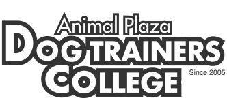 プロドッグトレーナー養成スクール「ドッグトレーナーズカレッジ」